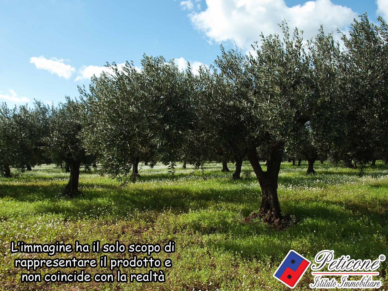 Terreno agricolo in vendita a Lenola, Valle San Bernardo
