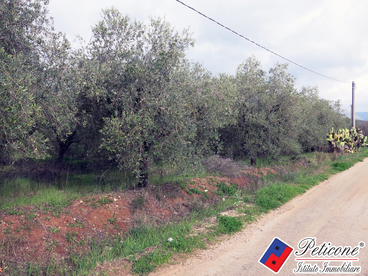 Terreno agricolo in vendita a Fondi, Semicentro