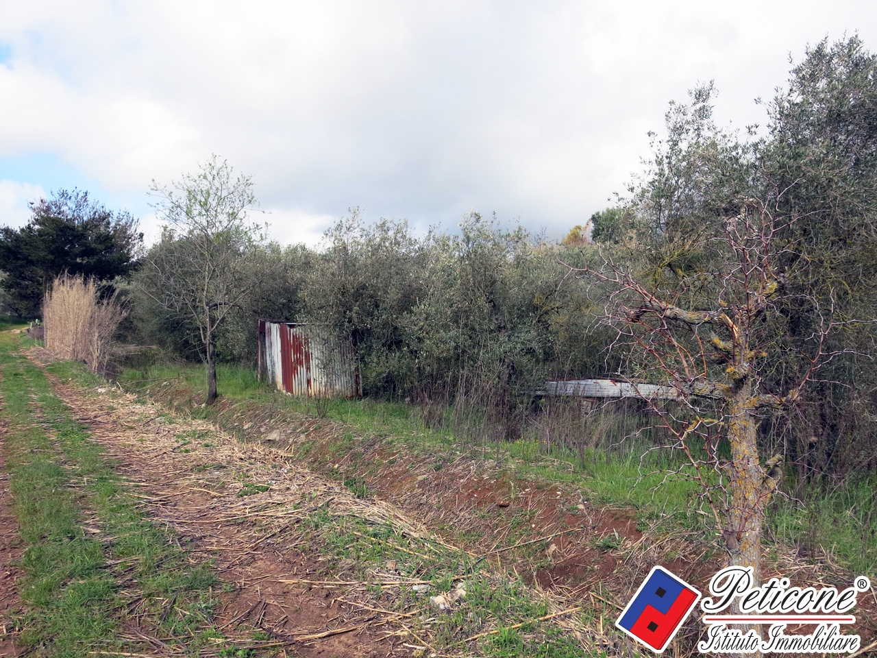 Terreno agricolo in vendita a Fondi, Semicentro