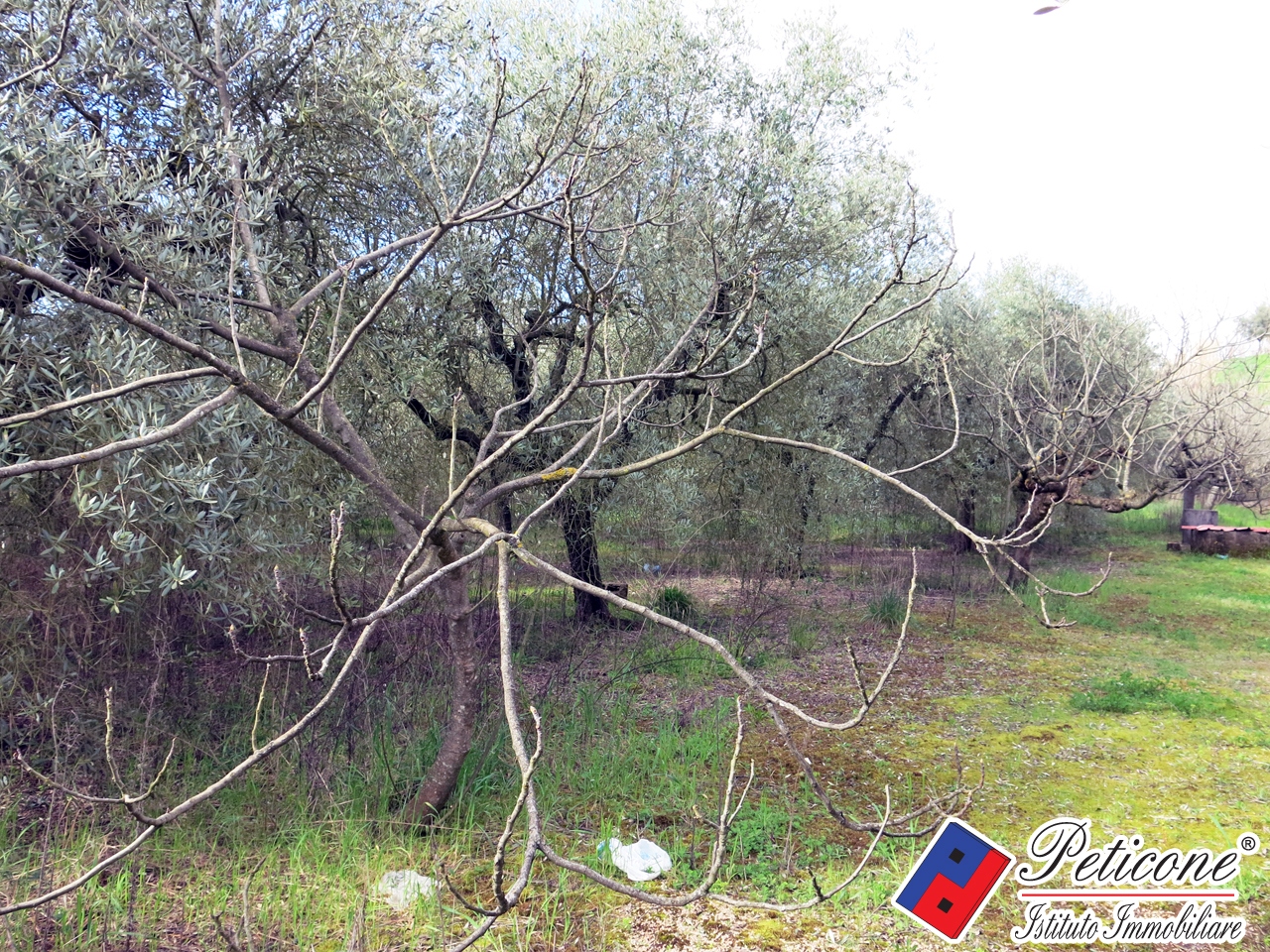 Terreno agricolo in vendita a Fondi, Semicentro