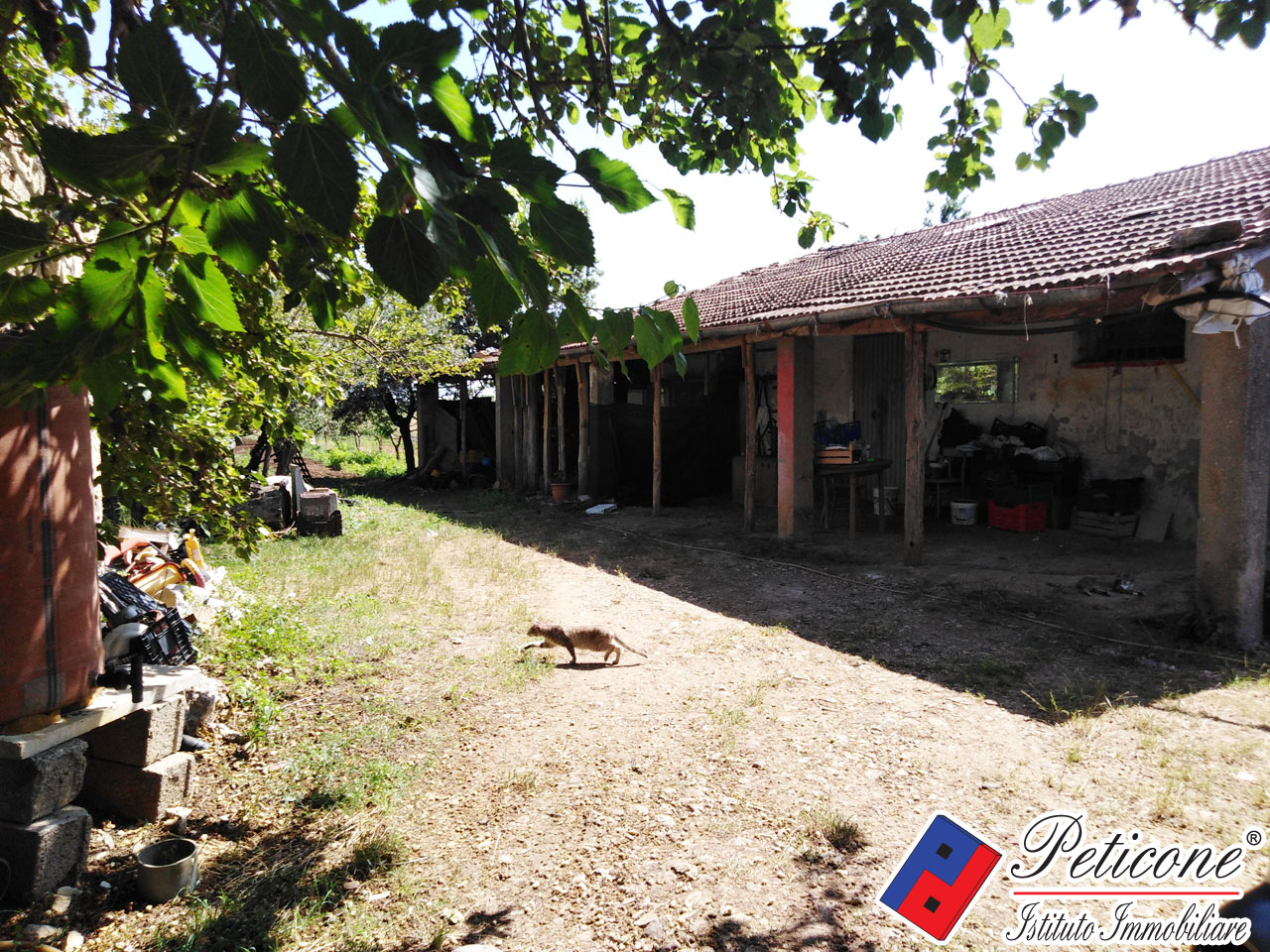 Terreno agricolo in vendita a Fondi
