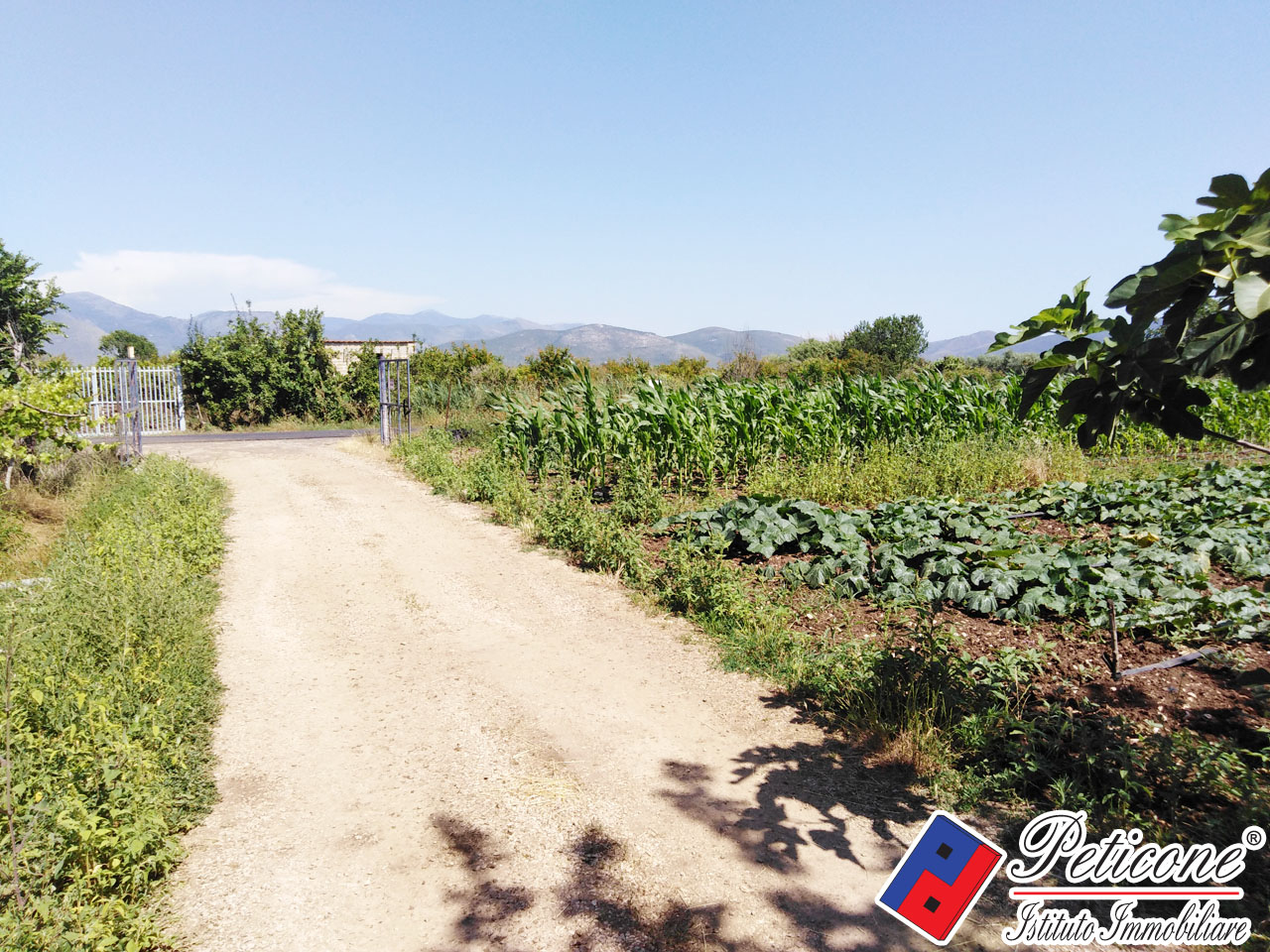 Terreno agricolo in vendita a Fondi