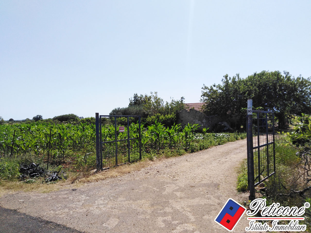 Terreno agricolo in vendita a Fondi