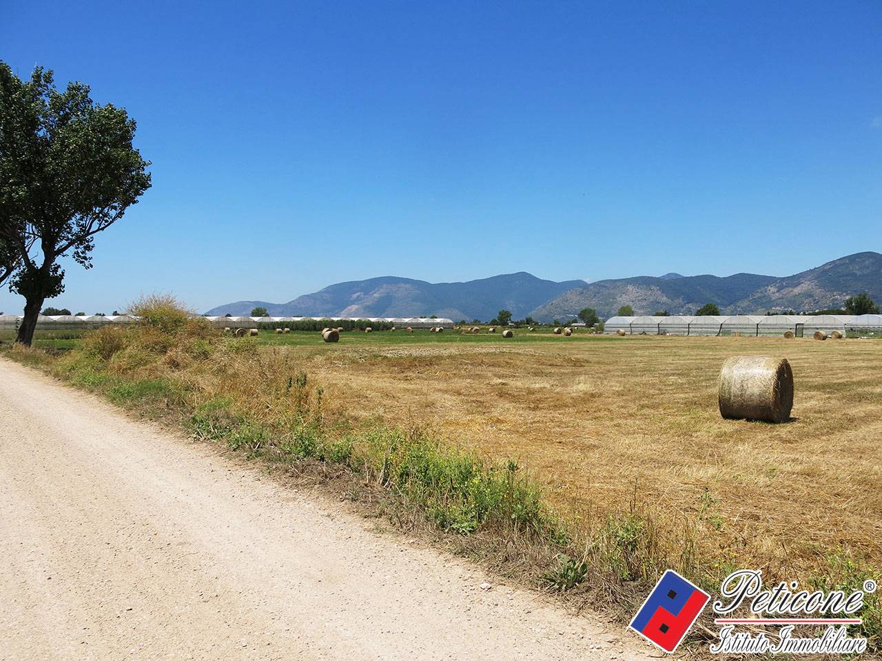 Terreno agricolo in vendita a Fondi