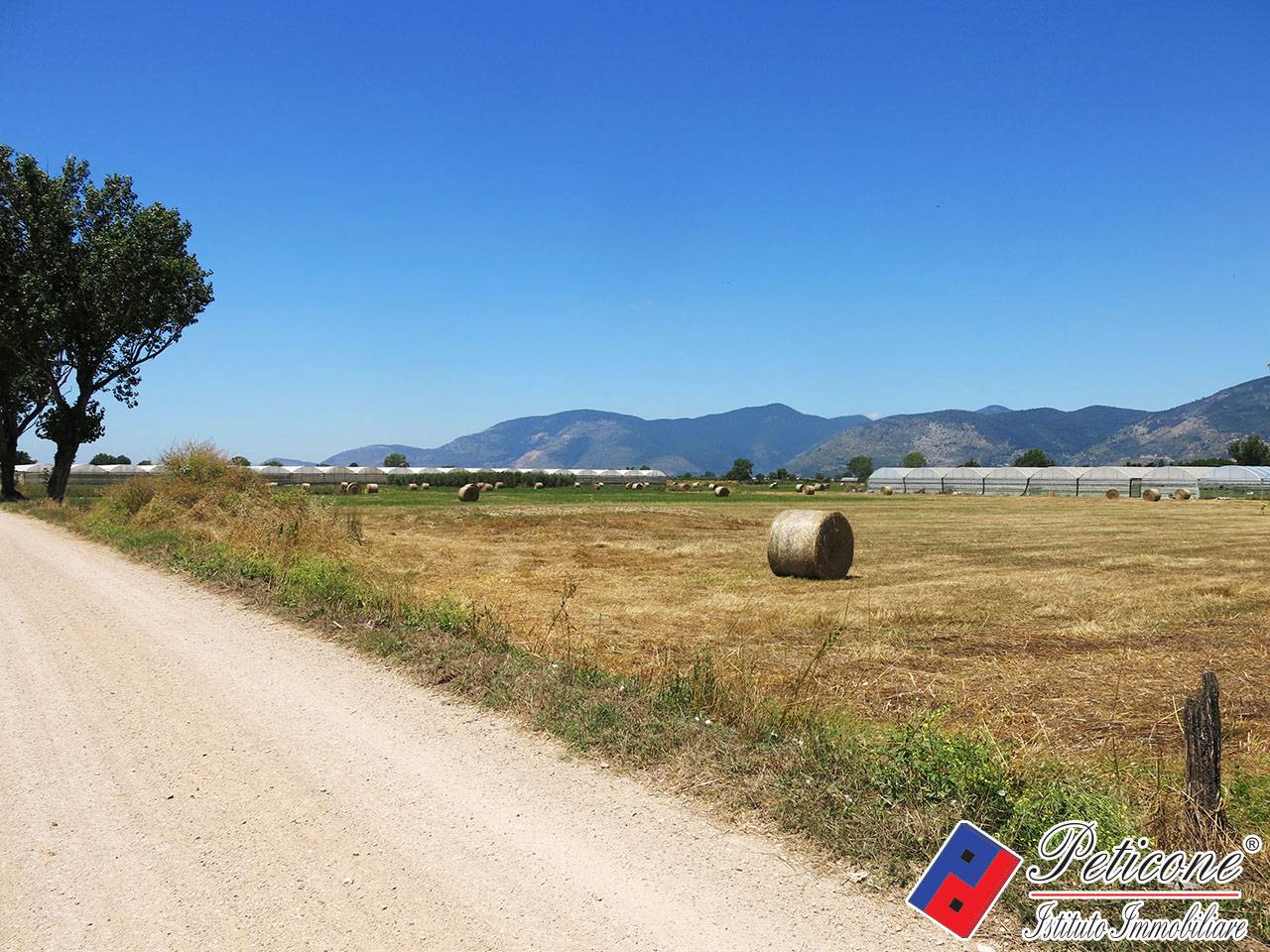 Terreno agricolo in vendita a Fondi