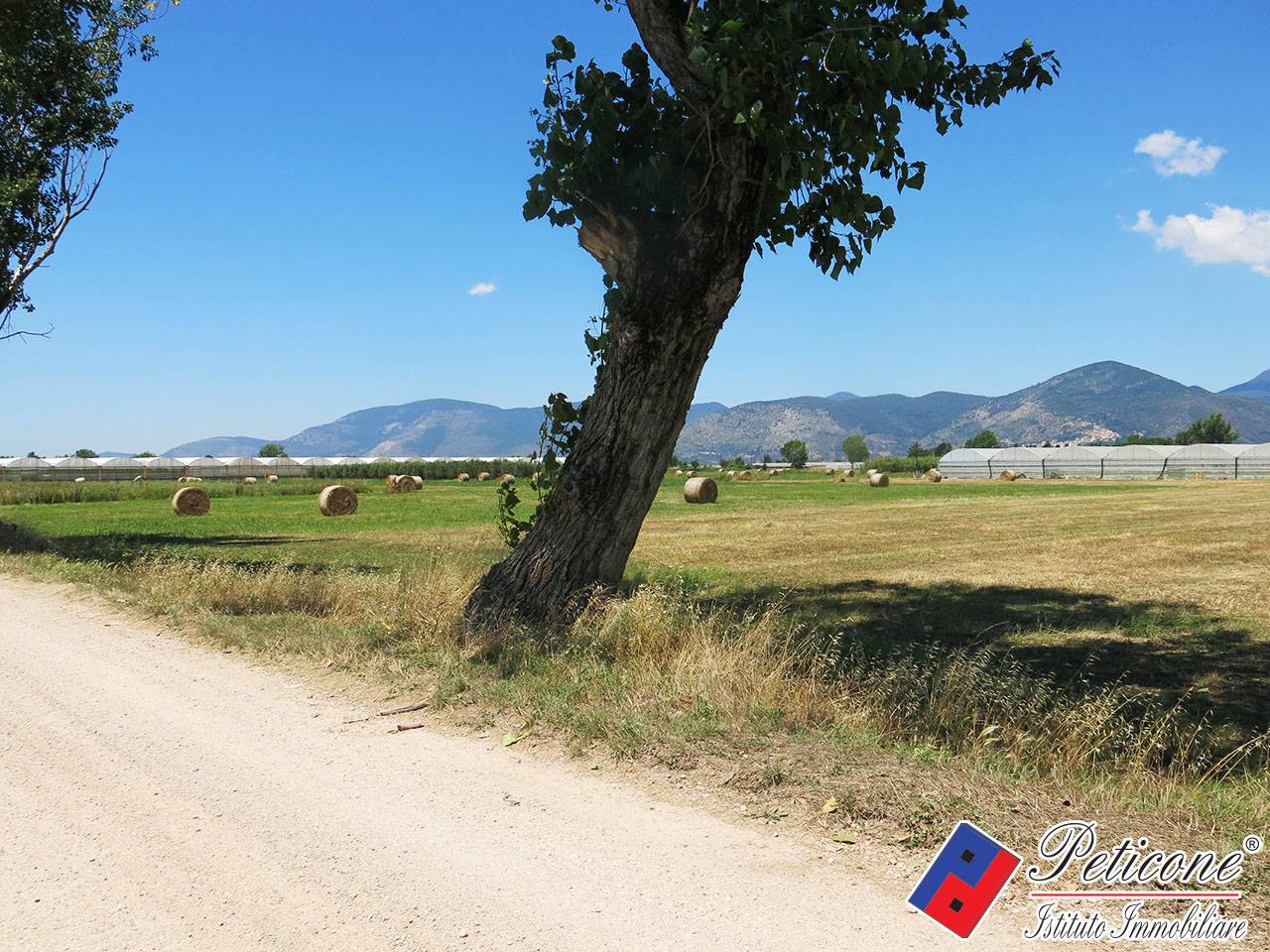 Terreno agricolo in vendita a Fondi