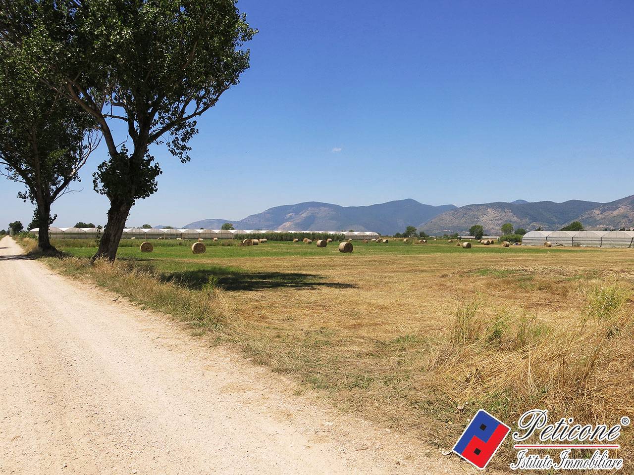 Terreno agricolo in vendita a Fondi