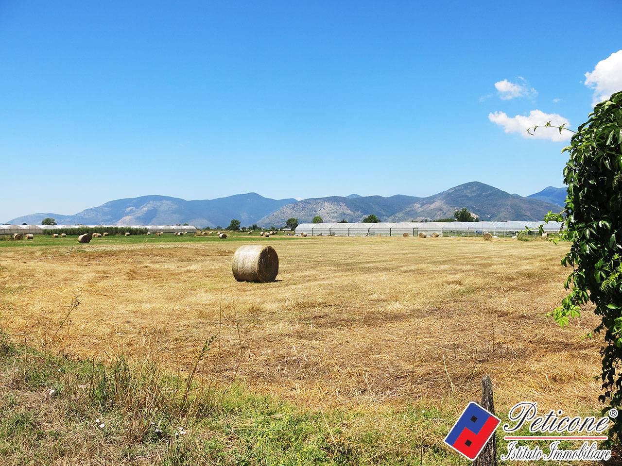 Terreno agricolo in vendita a Fondi