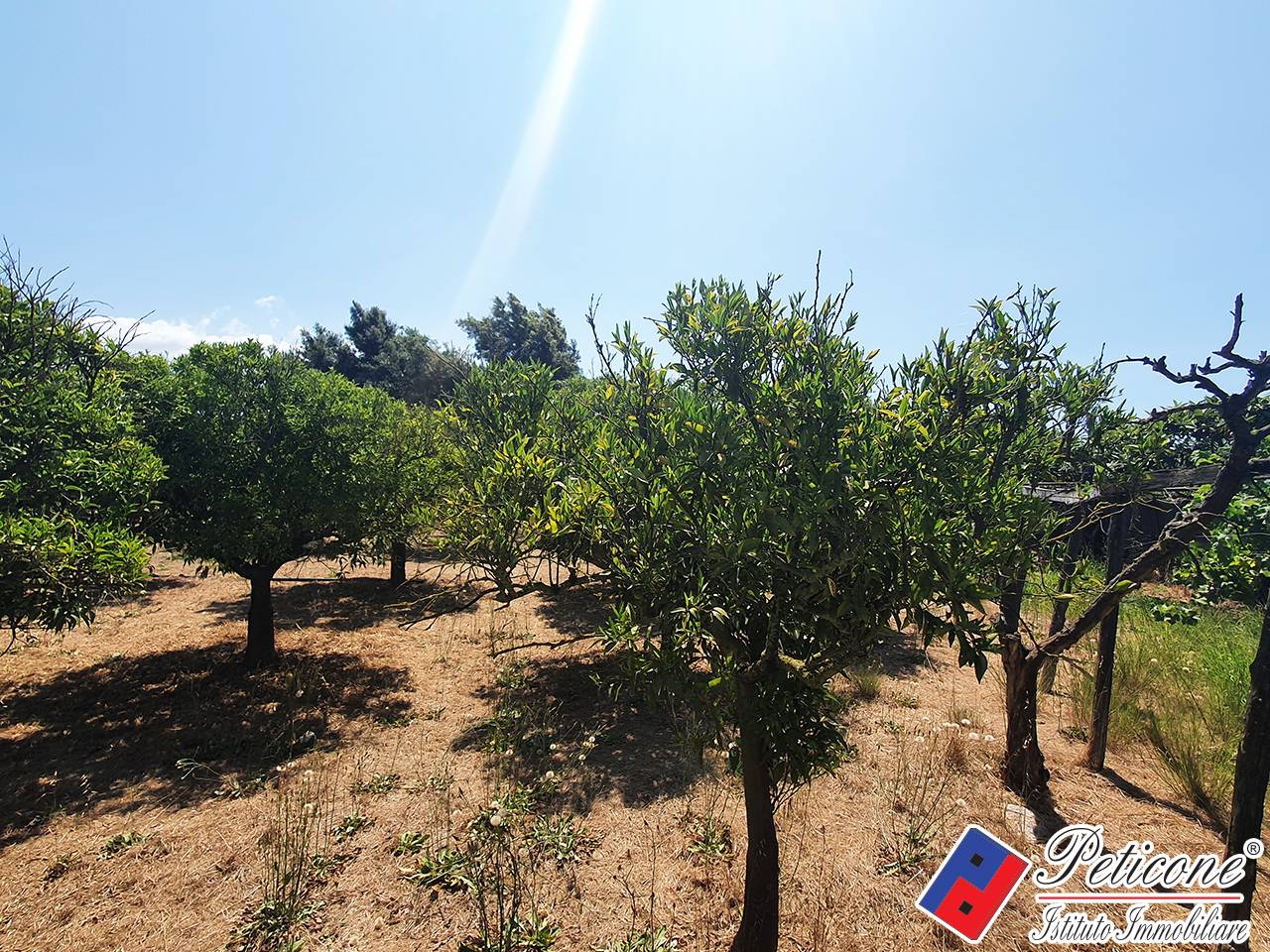 Terreno agricolo in vendita a Fondi, Marina di Fondi