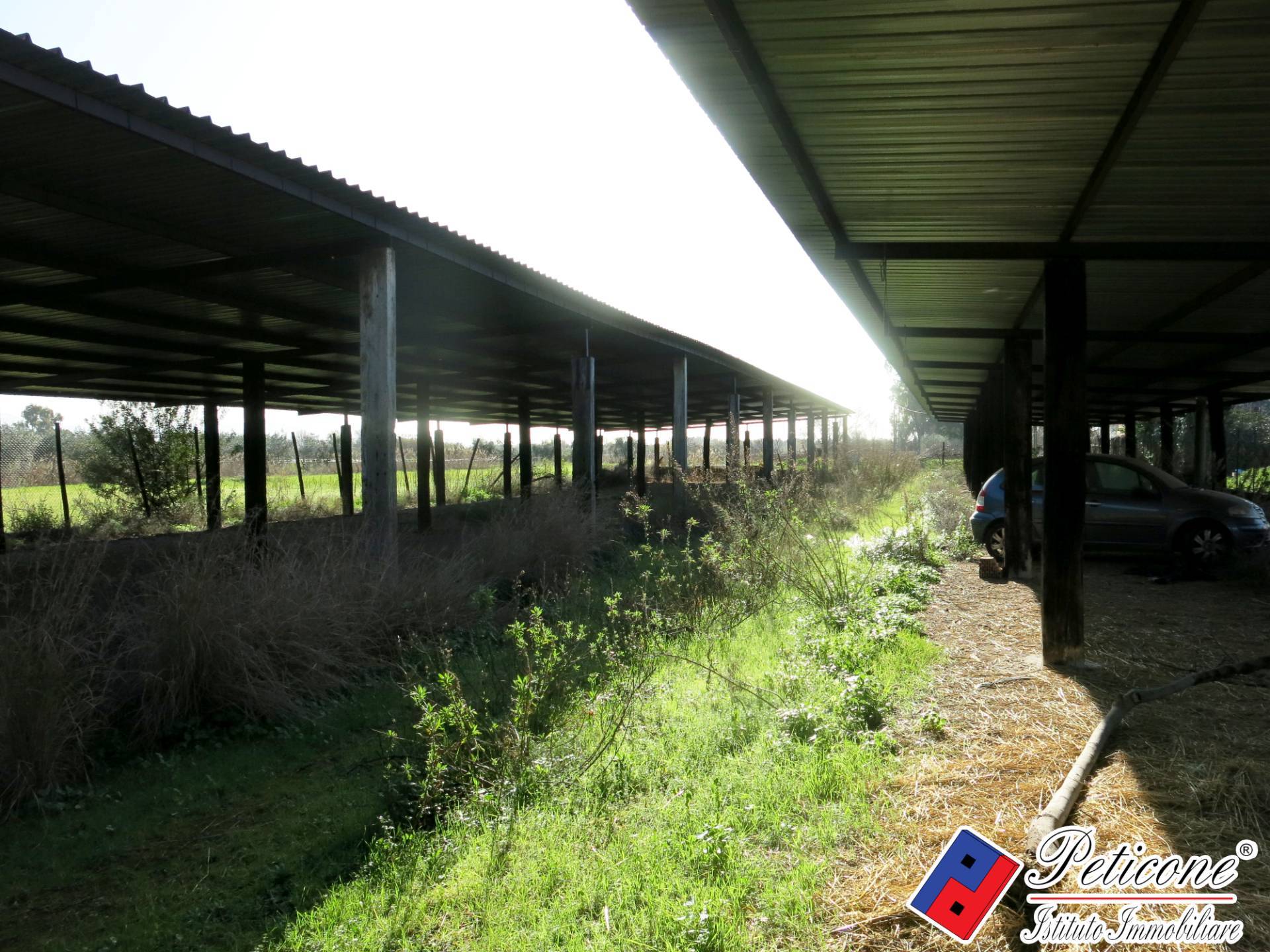 Terreno agricolo in vendita a Monte San Biagio