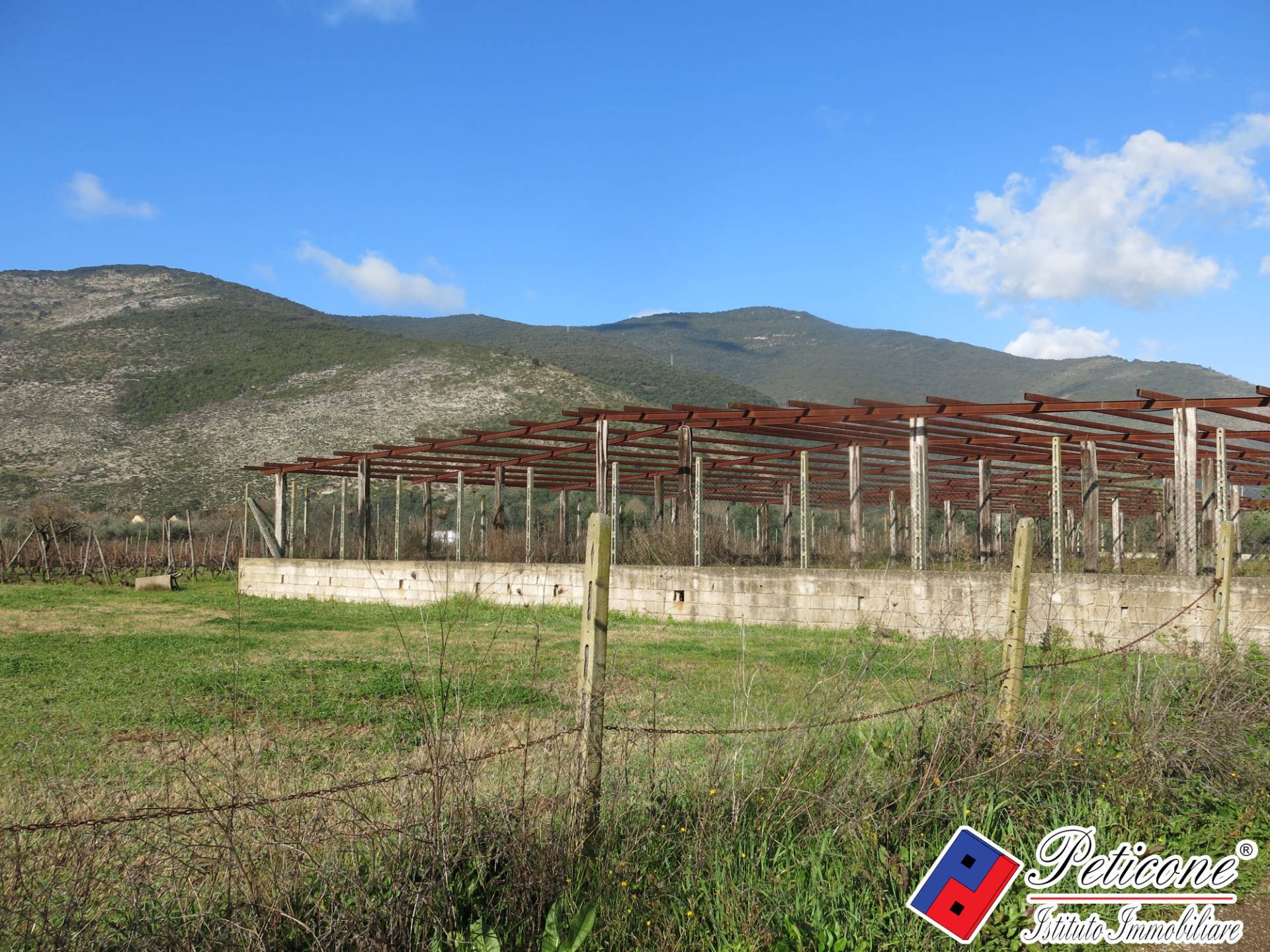 Terreno agricolo in vendita a Monte San Biagio