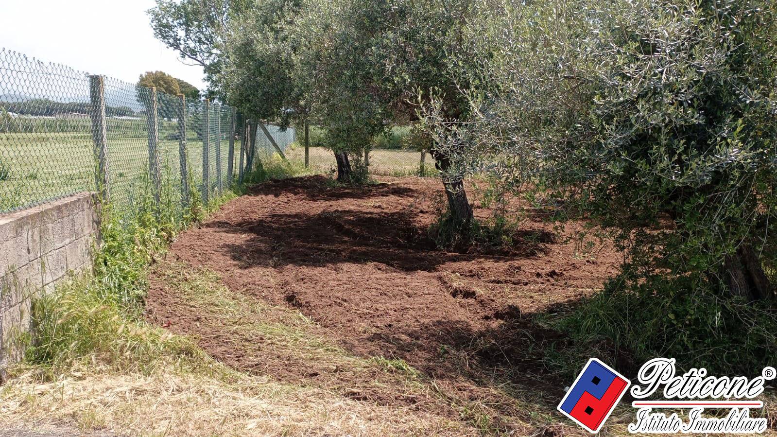 Terreno agricolo in vendita a Fondi