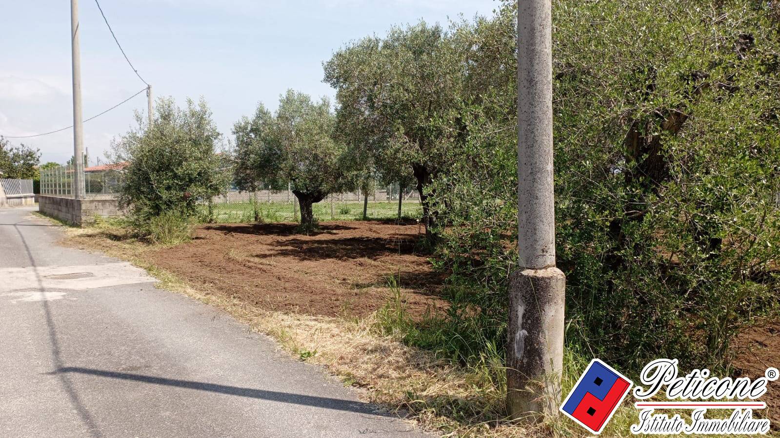 Terreno agricolo in vendita a Fondi