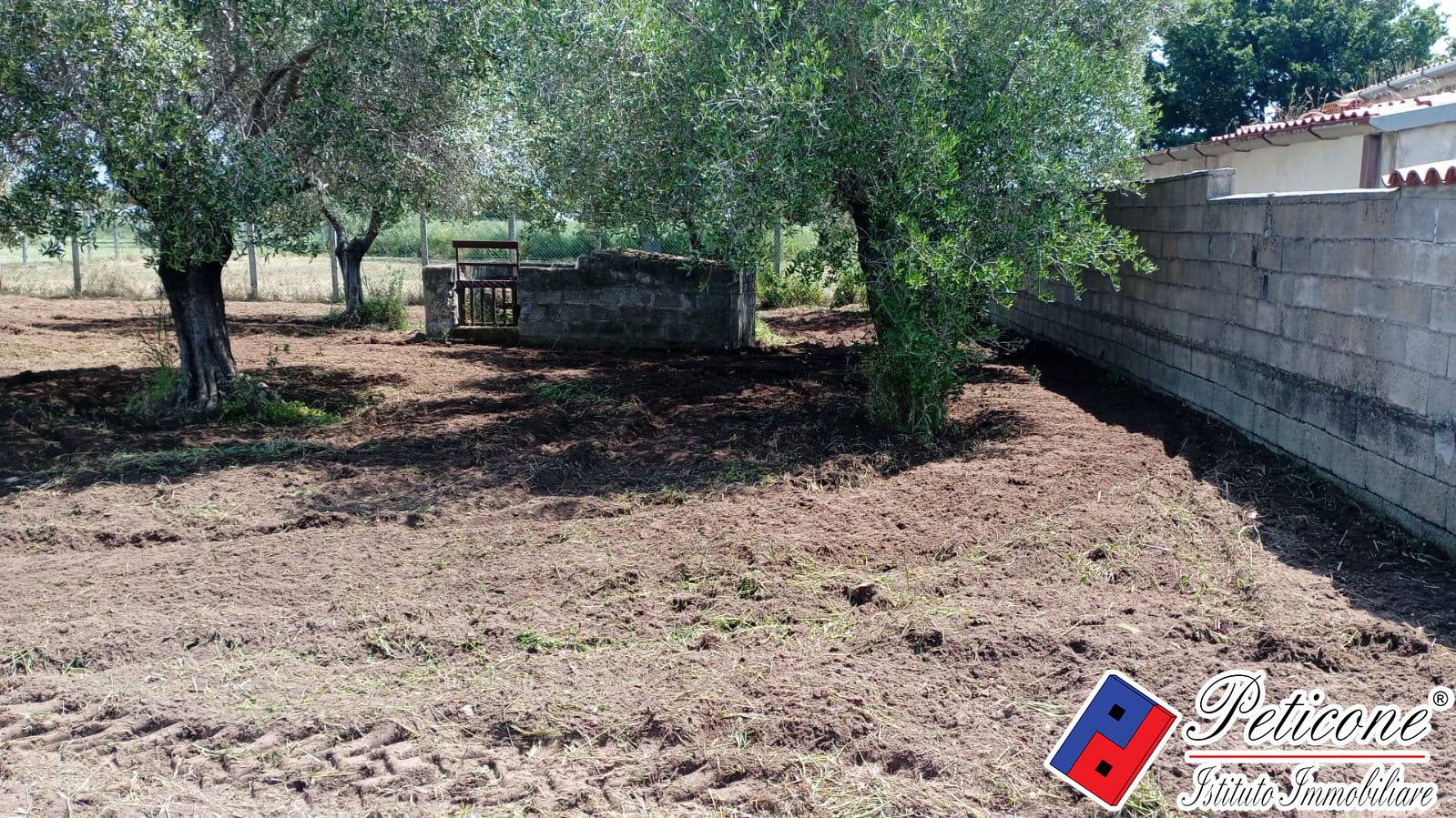Terreno agricolo in vendita a Fondi