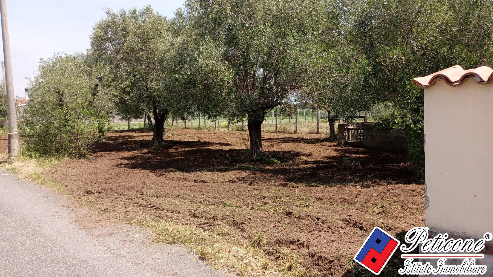 Terreno agricolo in vendita a Fondi