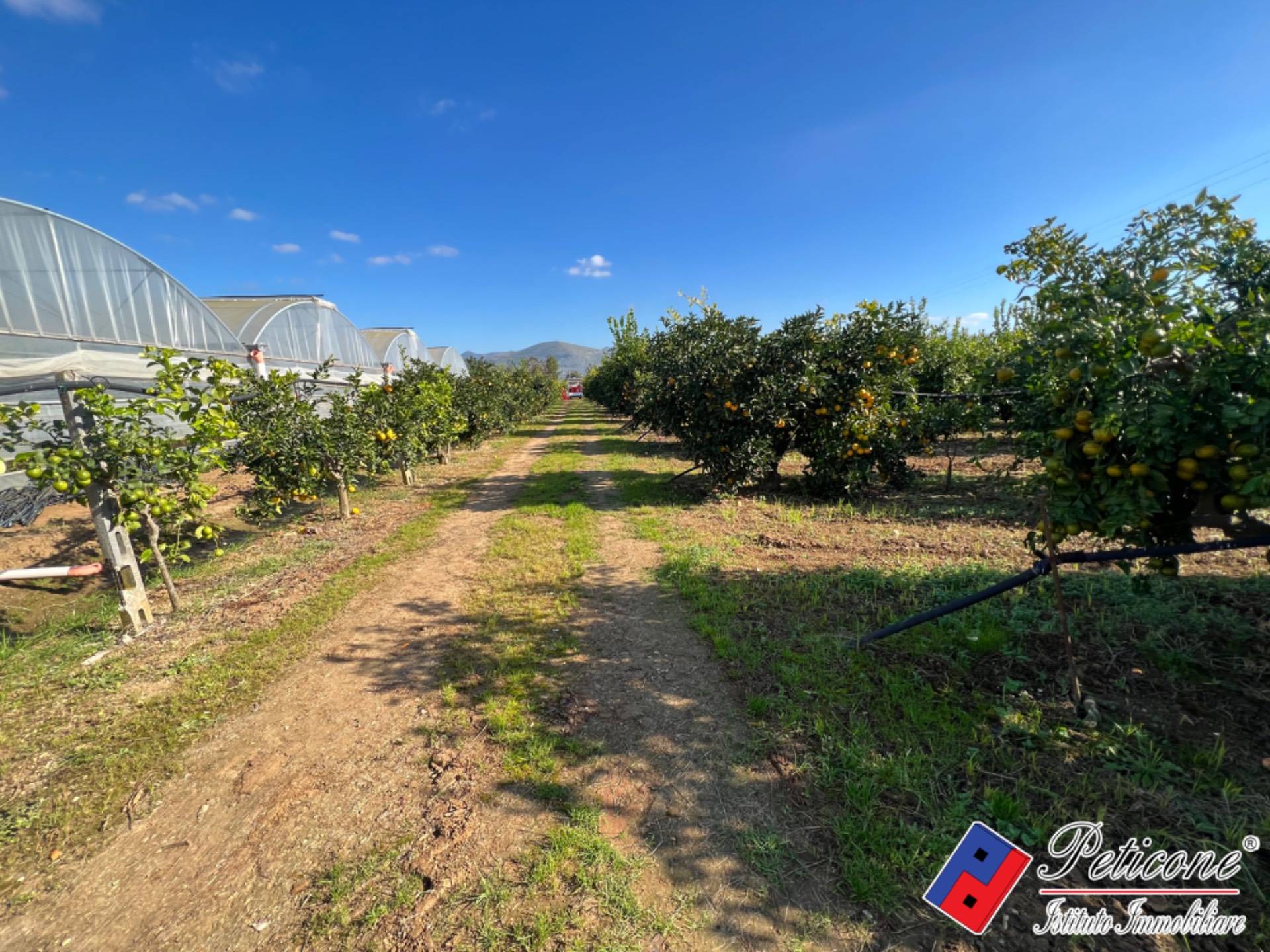 immagine annuncio 1 di 3