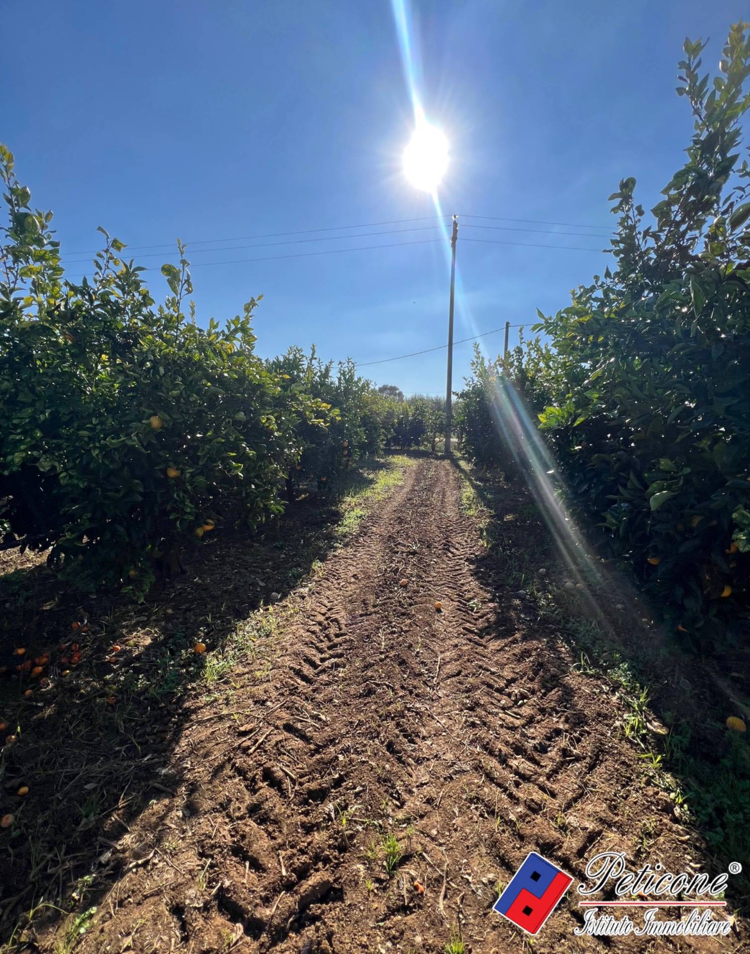 immagine annuncio 2 di 3