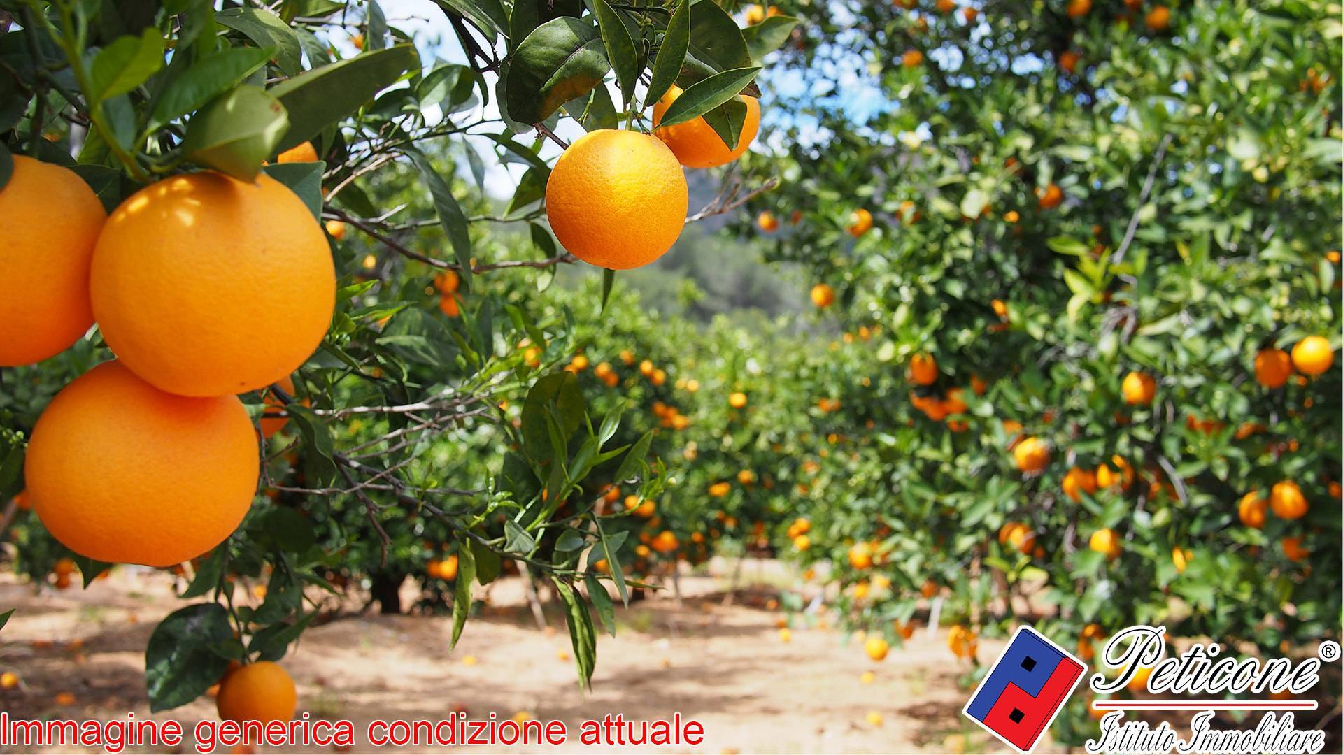 Terreno agricolo in vendita a Fondi, San Raffaele