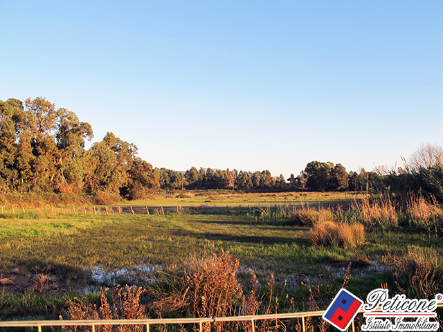 Terreno agricolo in vendita a Fondi, Marina di Fondi