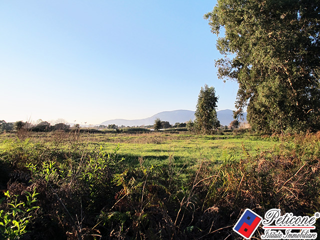 Terreno agricolo in vendita a Fondi, Marina di Fondi