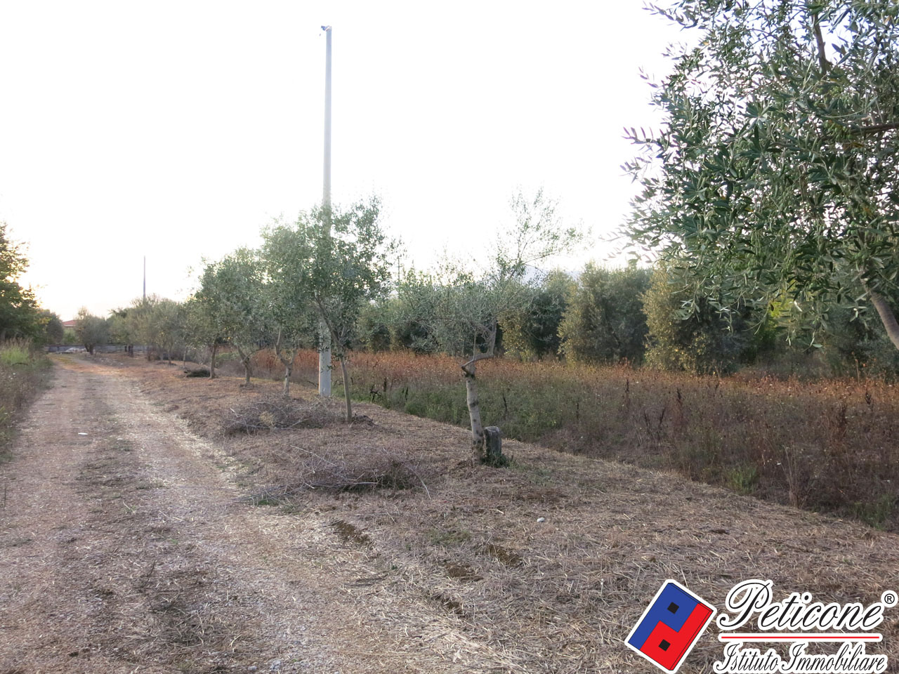 Terreno agricolo in vendita a Fondi, Semicentro