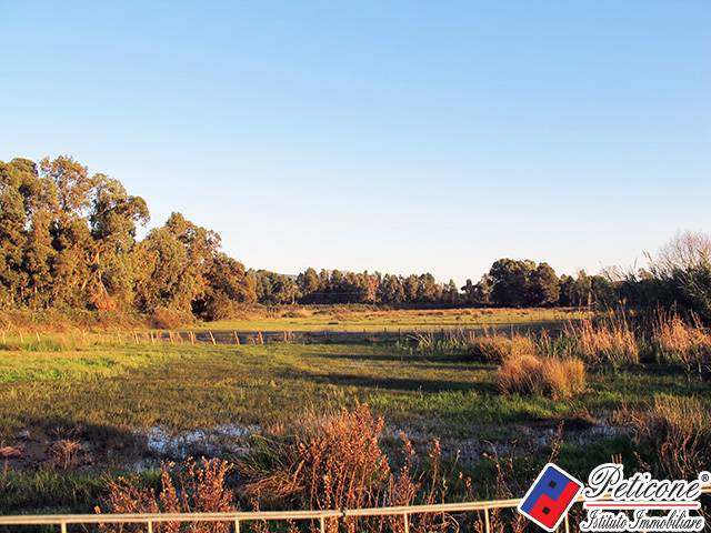 Terreno agricolo in vendita a Fondi, Marina di Fondi
