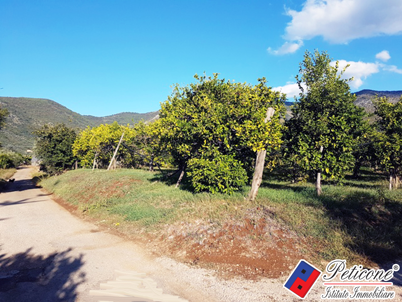 Terreno agricolo in vendita a Fondi, Madonna Degli Angeli