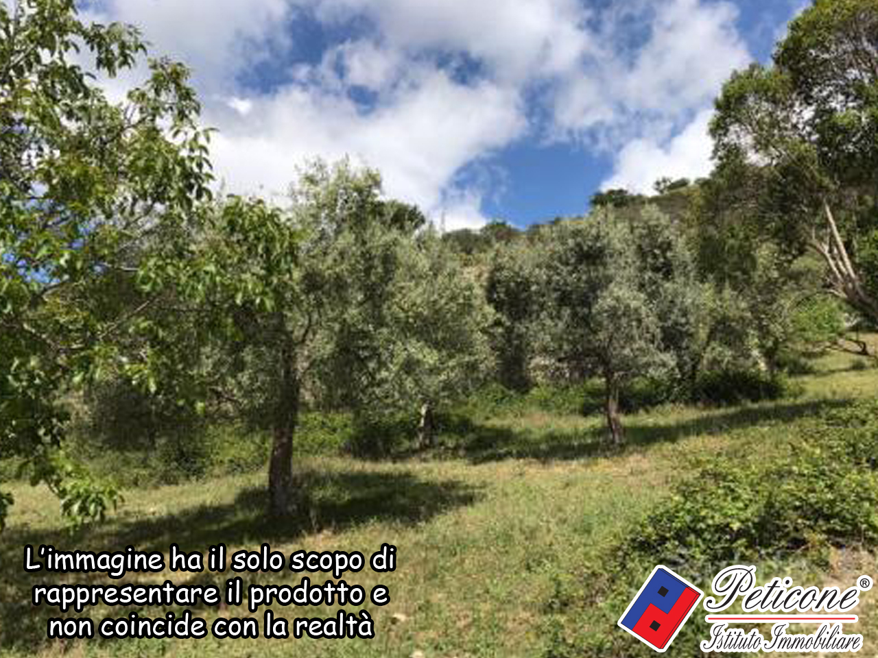 Terreno agricolo in vendita a Lenola, Valle San Bernardo