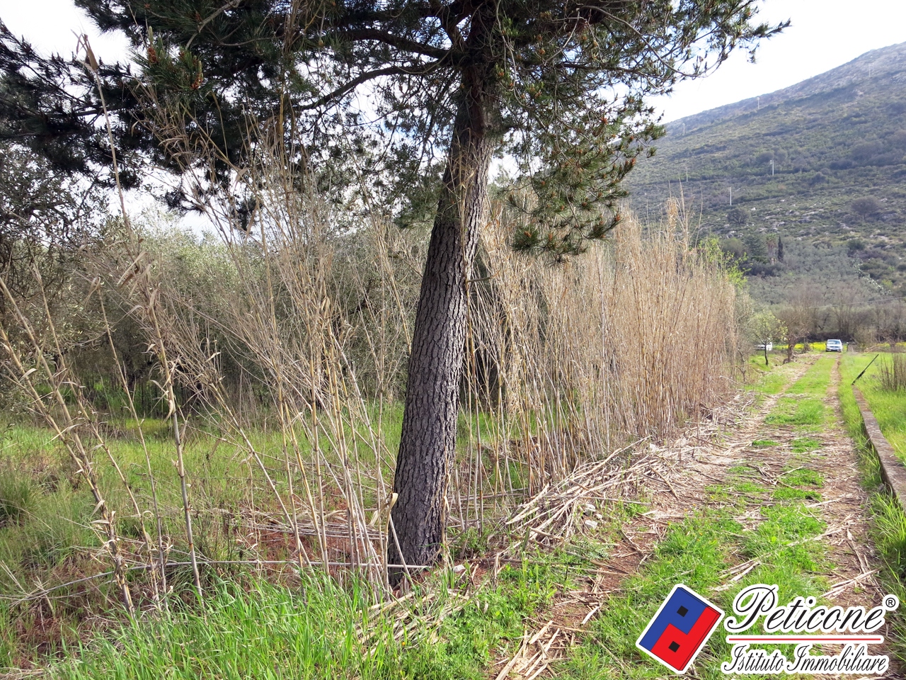 Terreno agricolo in vendita a Fondi, Semicentro