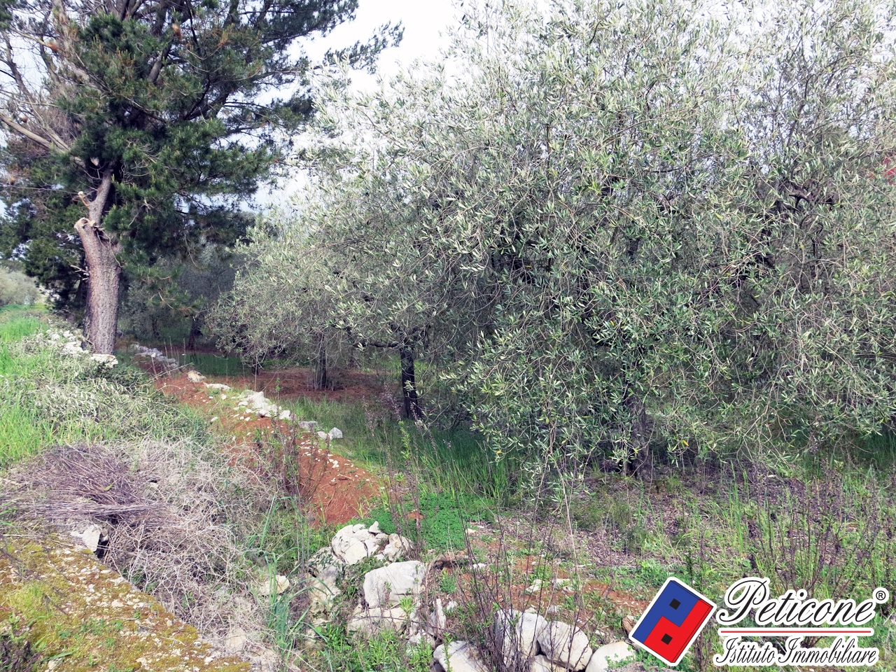 Terreno agricolo in vendita a Fondi, Semicentro