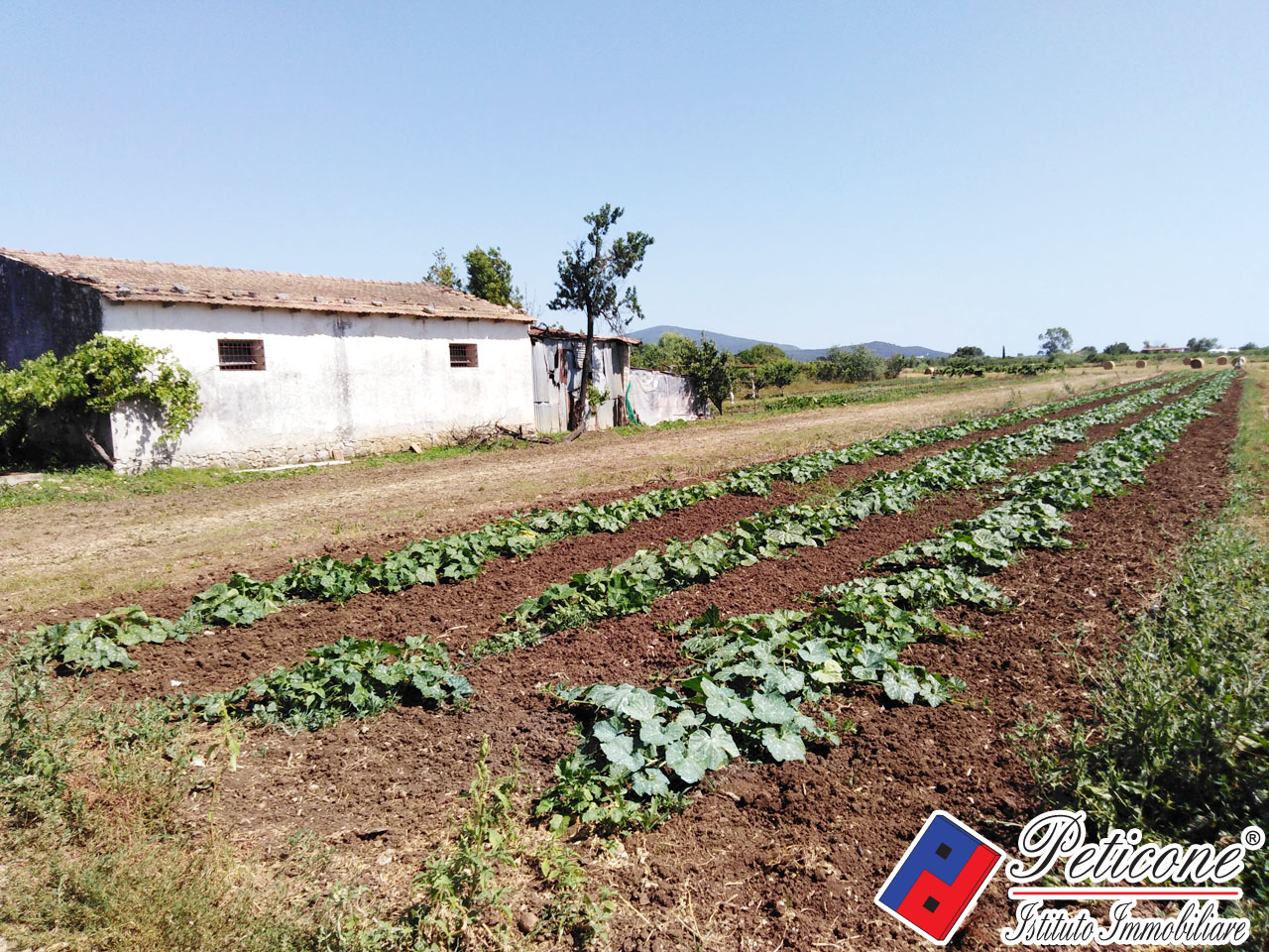 Terreno agricolo in vendita a Fondi