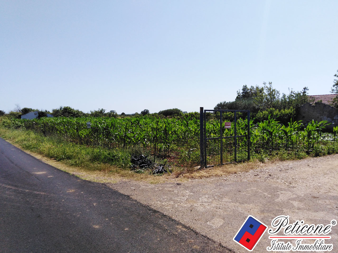 Terreno agricolo in vendita a Fondi