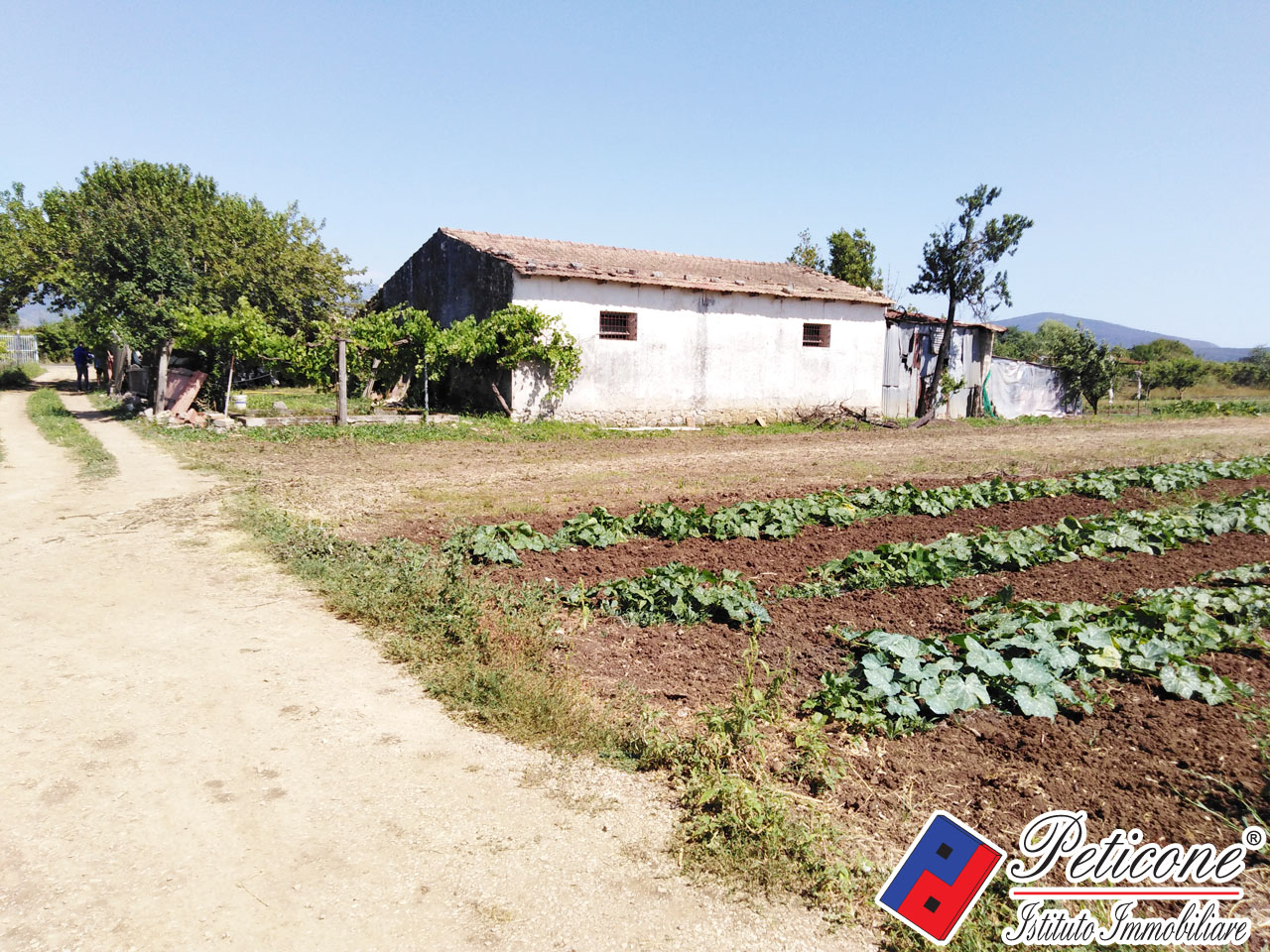 Terreno agricolo in vendita a Fondi