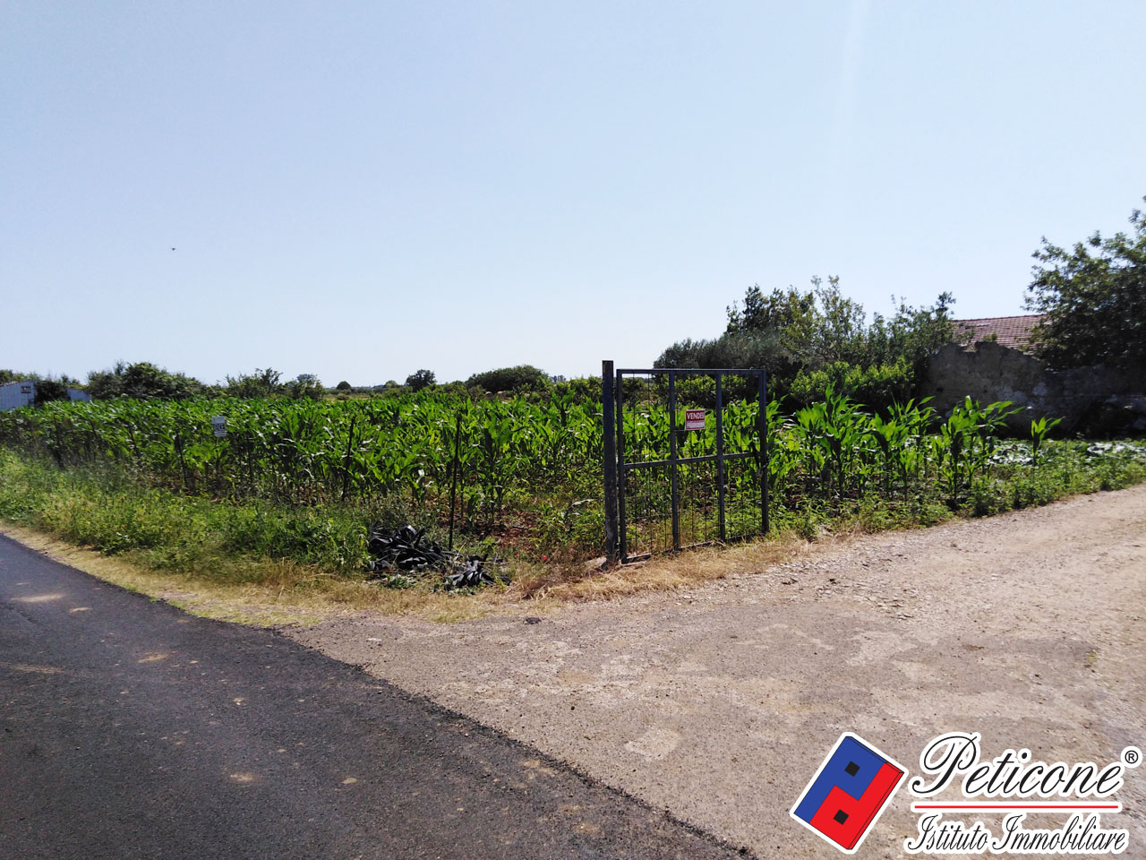 Terreno agricolo in vendita a Fondi