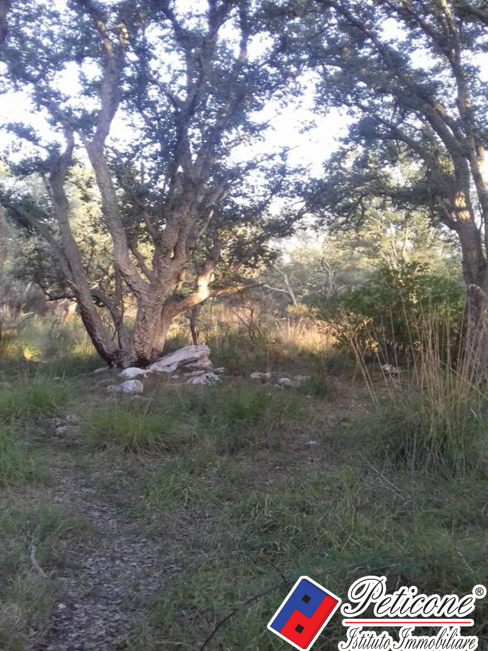 Terreno agricolo in vendita a Itri, Semicentro