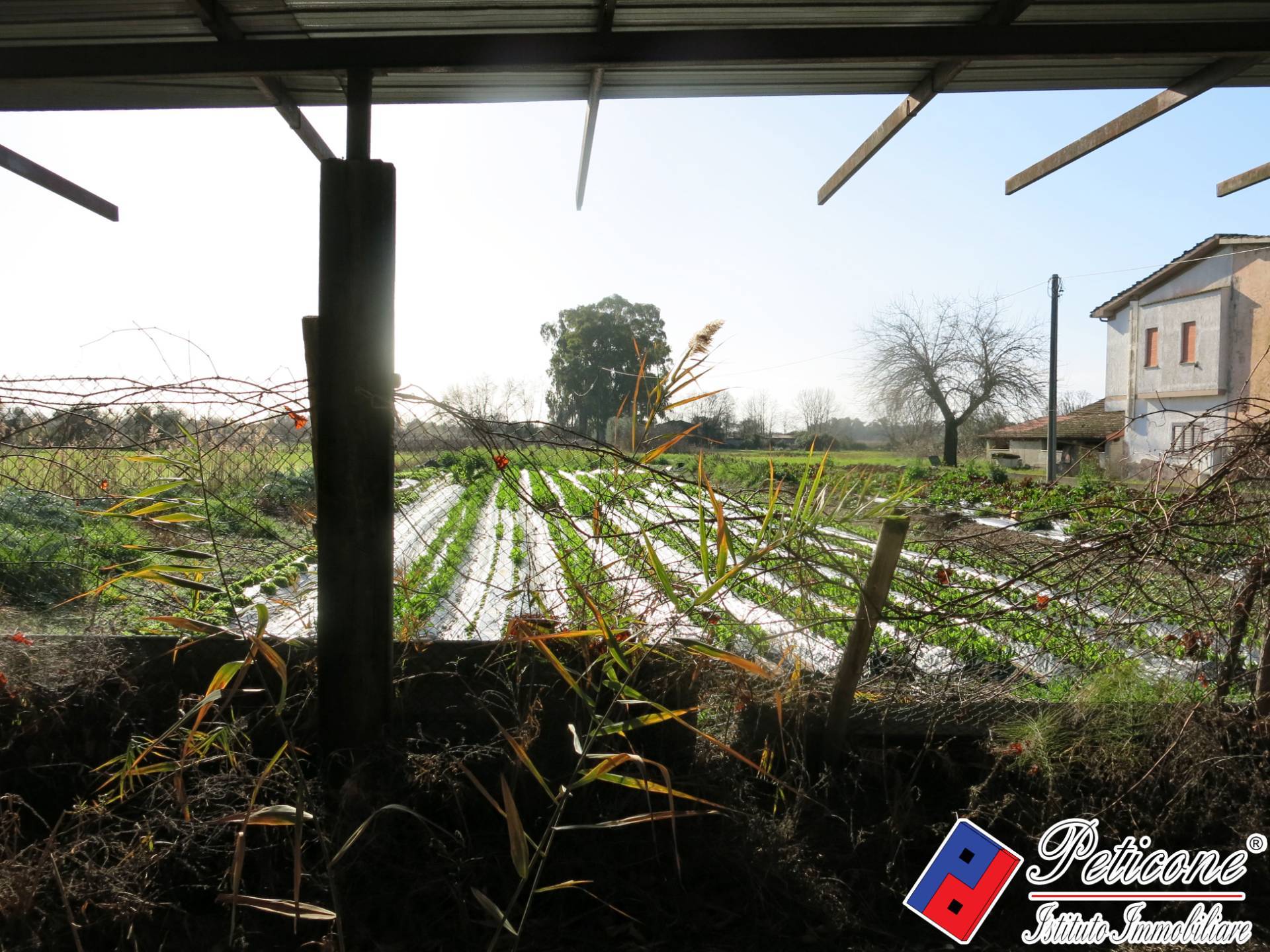 Terreno agricolo in vendita a Monte San Biagio