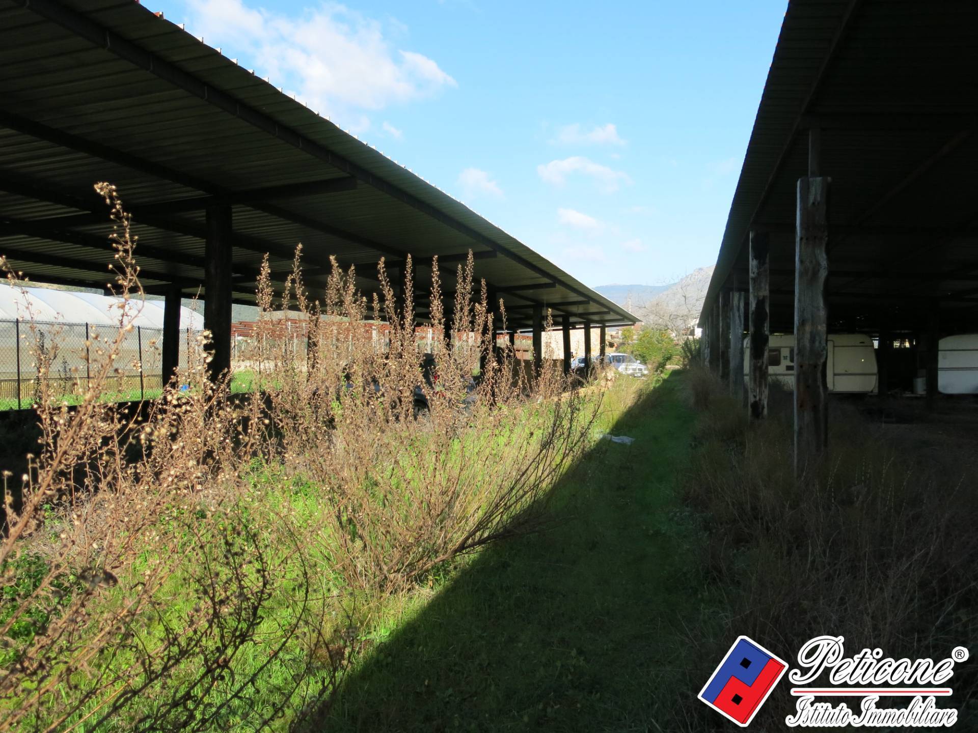 Terreno agricolo in vendita a Monte San Biagio