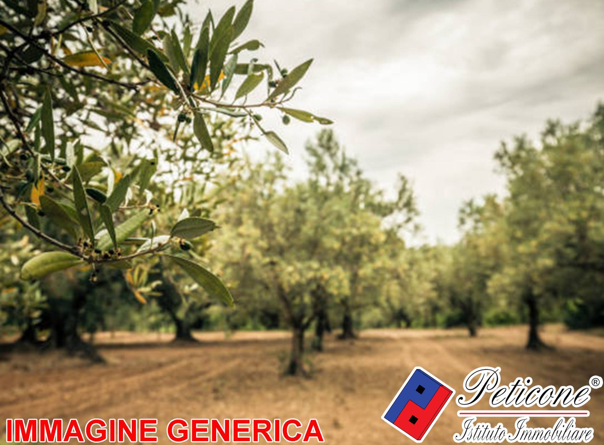 Terreno agricolo in vendita a Lenola, Valle San Bernardo