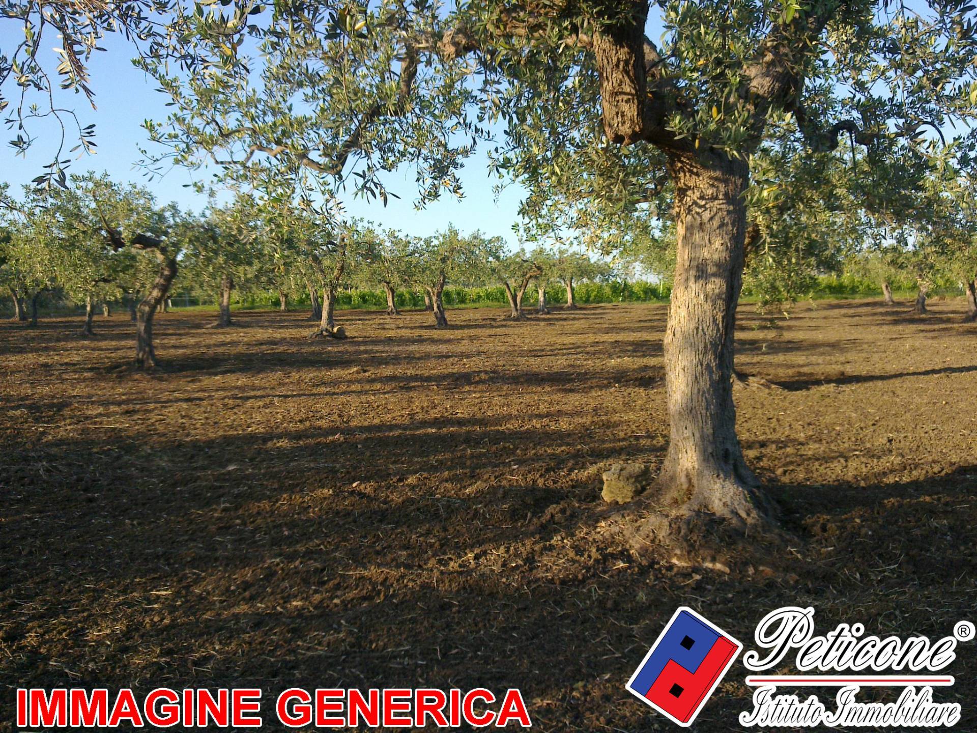 Terreno agricolo in vendita a Lenola, Valle San Bernardo