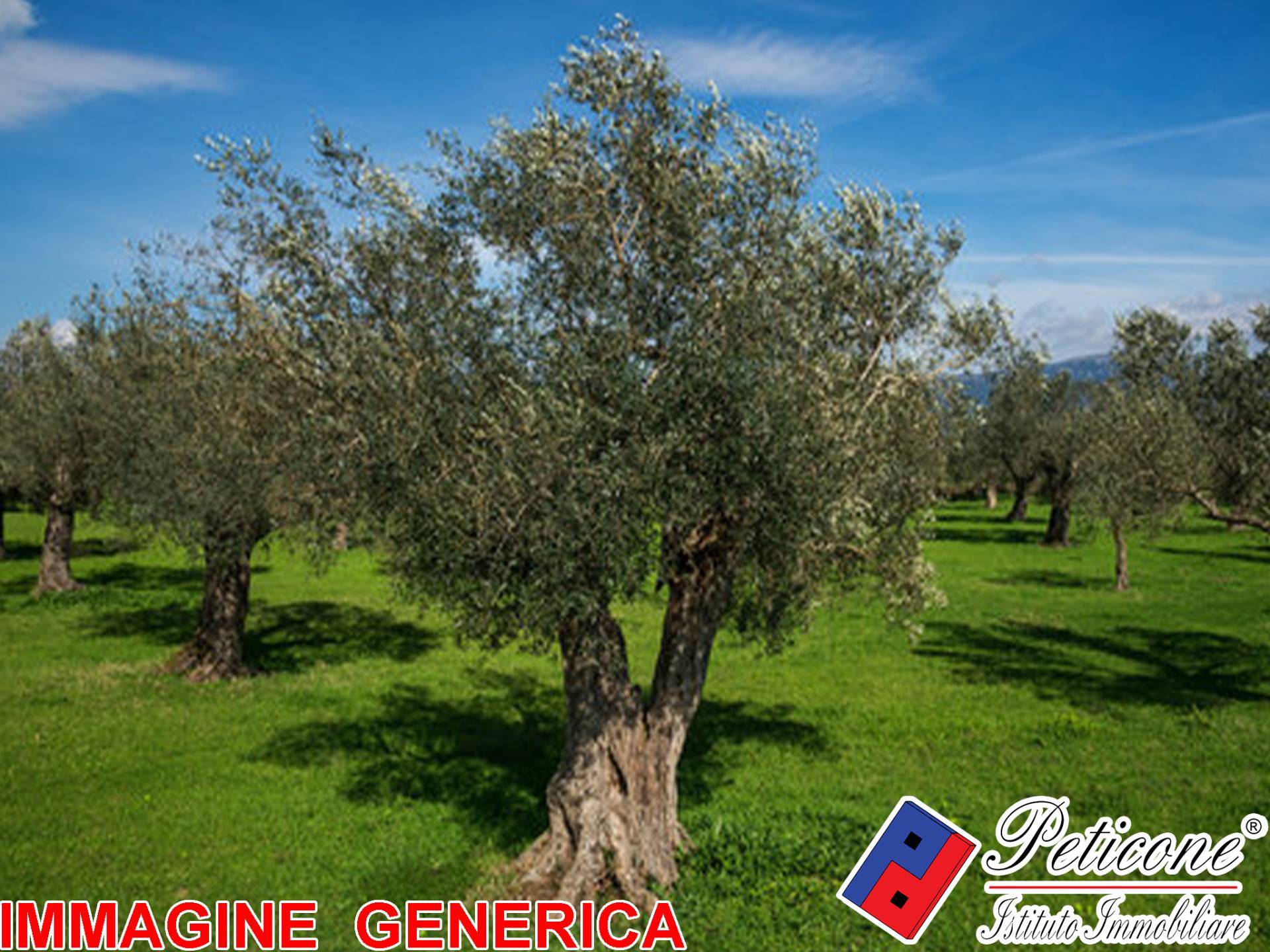 Terreno agricolo in vendita a Lenola, Valle San Bernardo