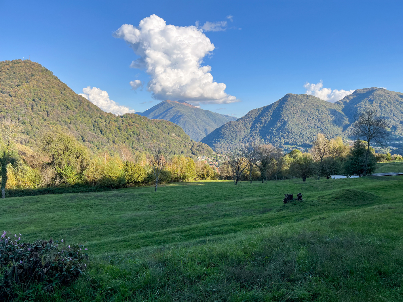 Terreno Edificabile in vendita a Cerano d'Intelvi