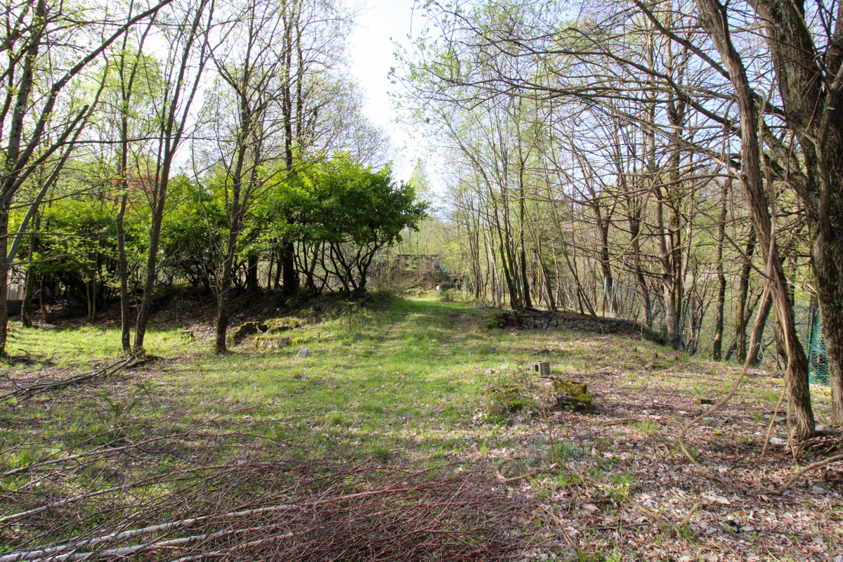 Terreno Agricolo in vendita a Alta Valle Intelvi