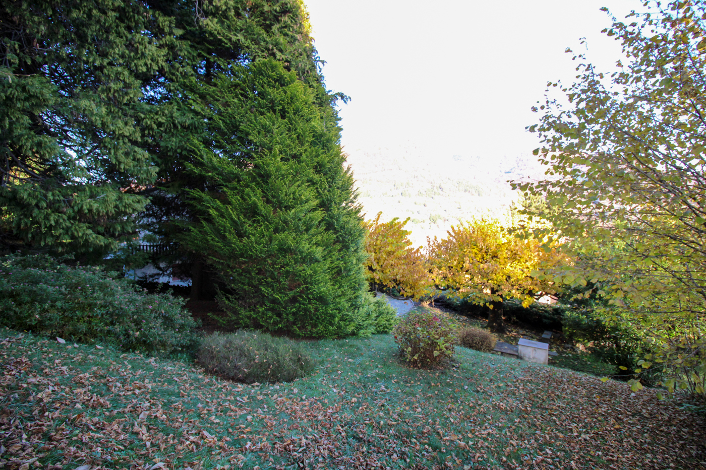 Villa in vendita a Centro Valle Intelvi