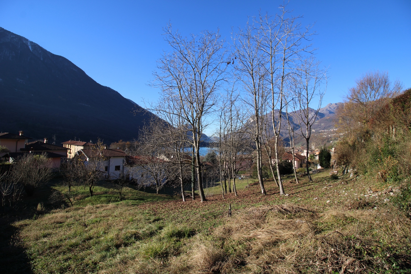 Terreno Edificabile in vendita a Carlazzo
