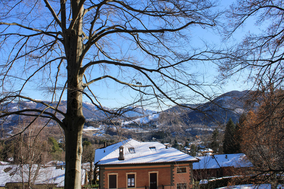 Bilocale in affitto a Alta Valle Intelvi
