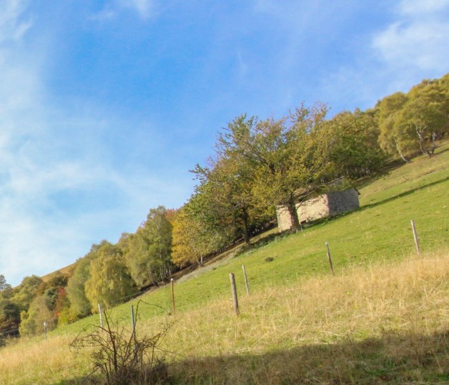 Rustico in vendita a Cerano d'Intelvi