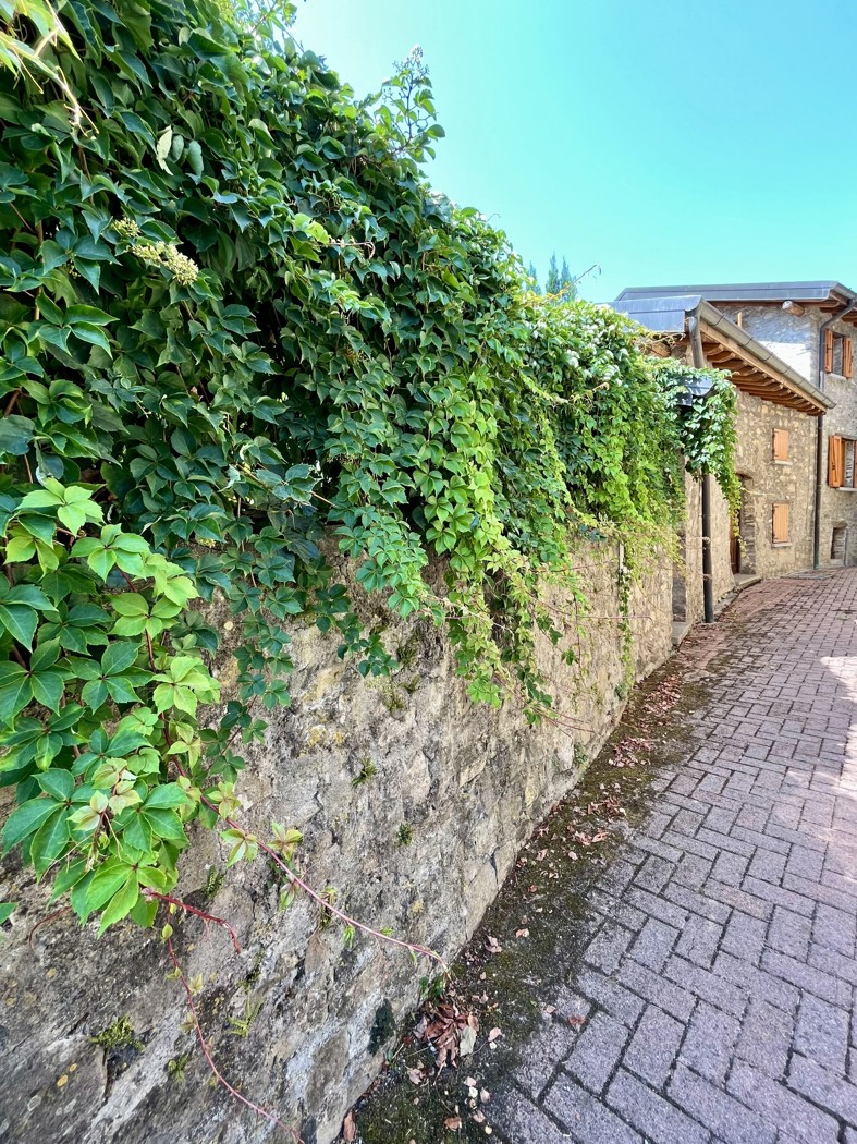 Villa in vendita a Alta Valle Intelvi