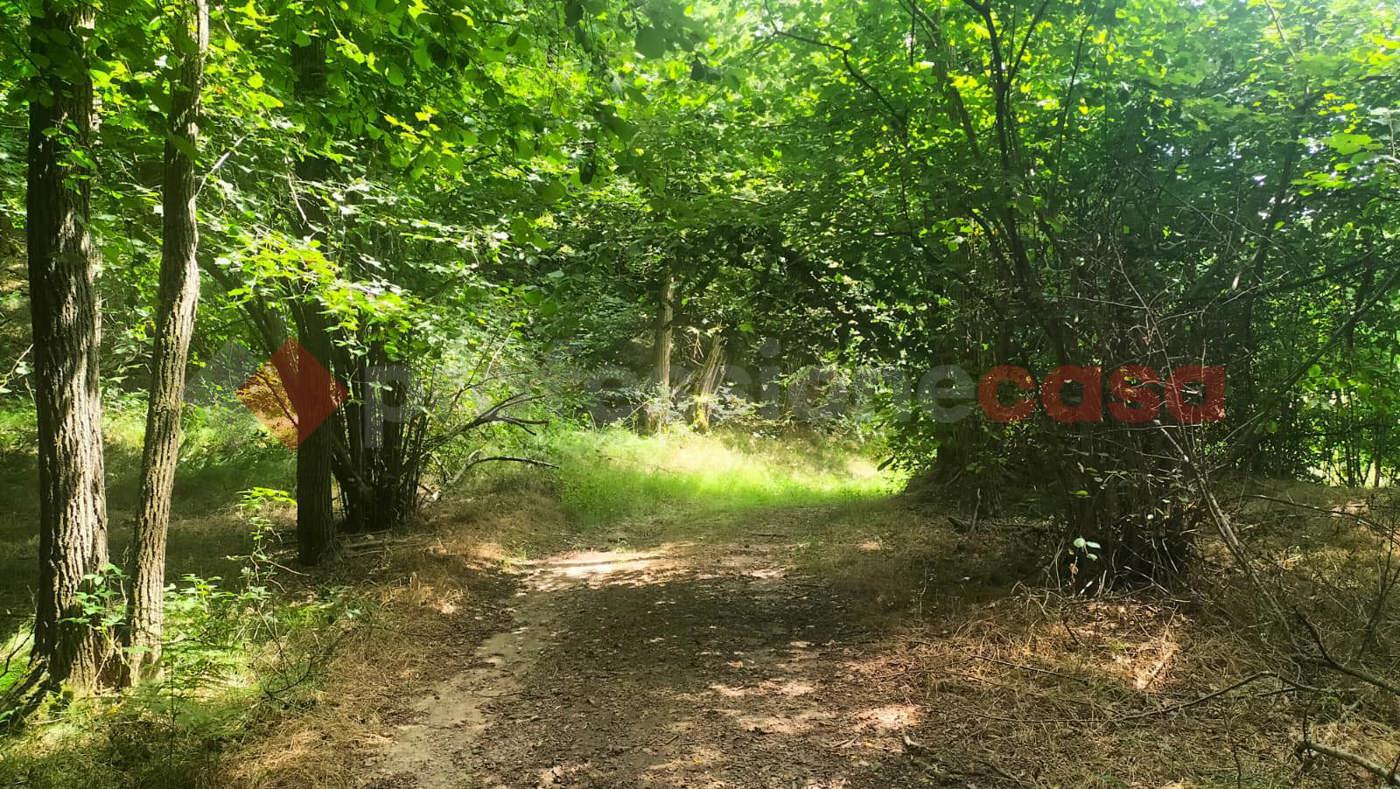 Terreno Agricolo in vendita a Gattico-Veruno