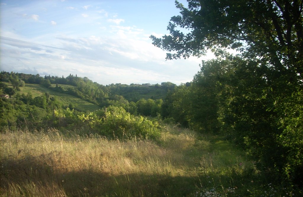 Terreno Agricolo in vendita a Colle di Val d'Elsa