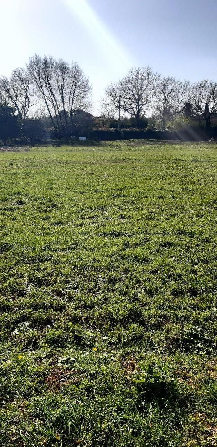 immagine annuncio 3 di 6